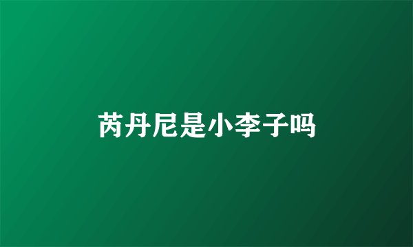 芮丹尼是小李子吗