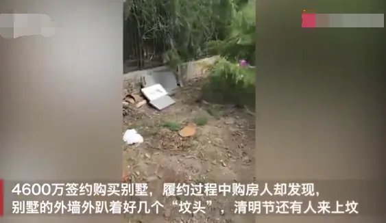 4600万买的别墅院外就是坟头