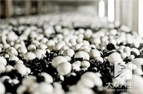 酵母抽提物的用法