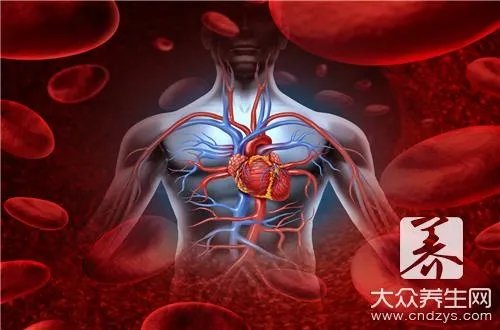 人体五脏六腑的功能