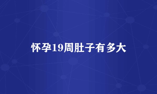 怀孕19周肚子有多大