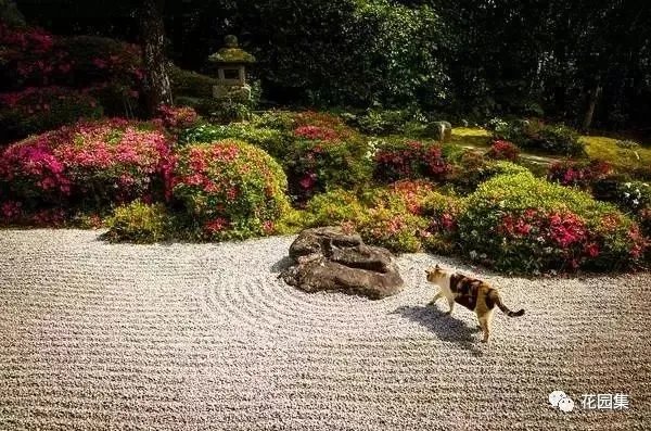 60款醉美庭院枯山水景观，不得不爱~