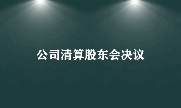 公司清算股东会决议
