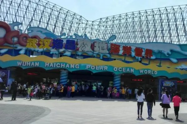 武汉海洋馆和海洋公园哪个好玩