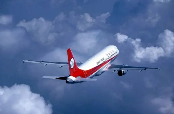 四川8633副机长为什么禁飞