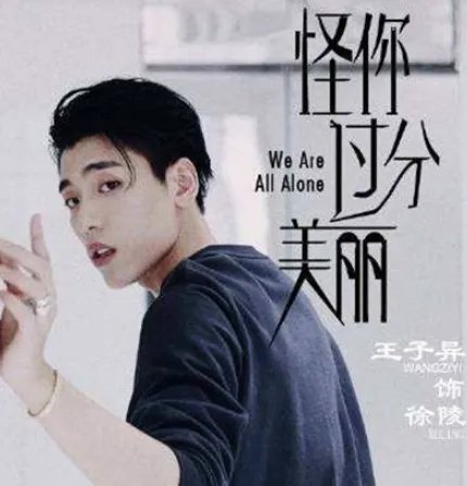 《怪你过分美丽》主要讲的什么故事？什么时候播出？