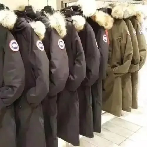 加拿大鹅股价持续下跌，造成这种现象的原因是什么？