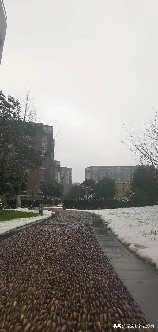 最近想入手美达浅草明苑小区的房子，但是中介推荐了一个边户，美达浅草明苑小区噪音大吗？可以入手吗？