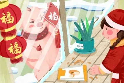 2022年生肖兔人的全年每月运势及运程详解,生于不同年份属兔人的运势