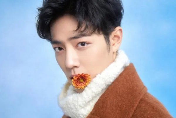 肖战再次维权，彰显反对黑粉的决心，都涉及了哪些范围的纠纷？