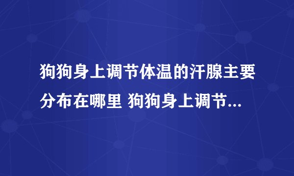 狗狗身上调节体温的汗腺主要分布在哪里 狗狗身上调节体温的汗腺如何分布介绍