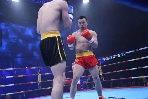 中国武术职业联赛的介绍