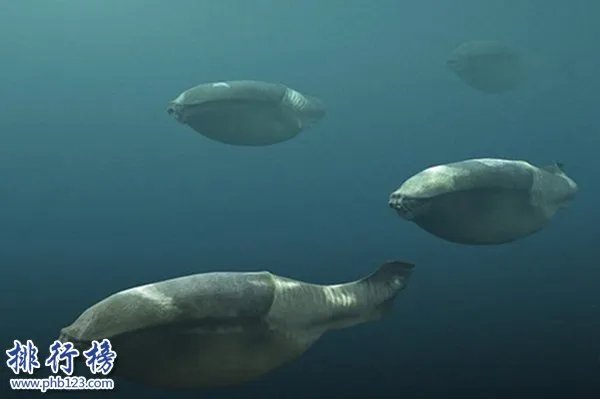 史前十大最怪异生物，如同漫画中的奇怪生物