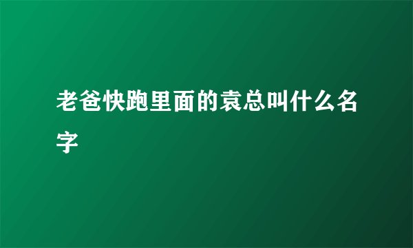 老爸快跑里面的袁总叫什么名字