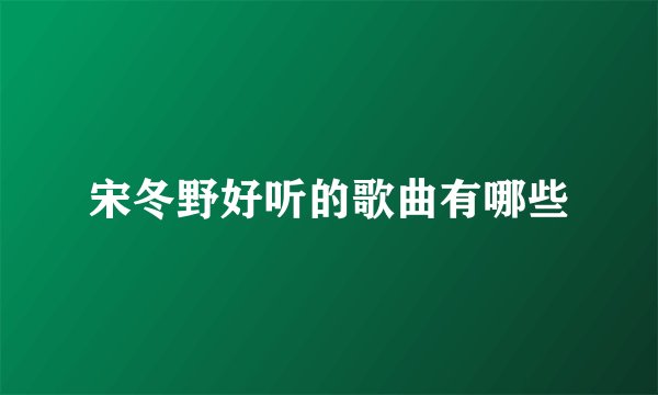 宋冬野好听的歌曲有哪些