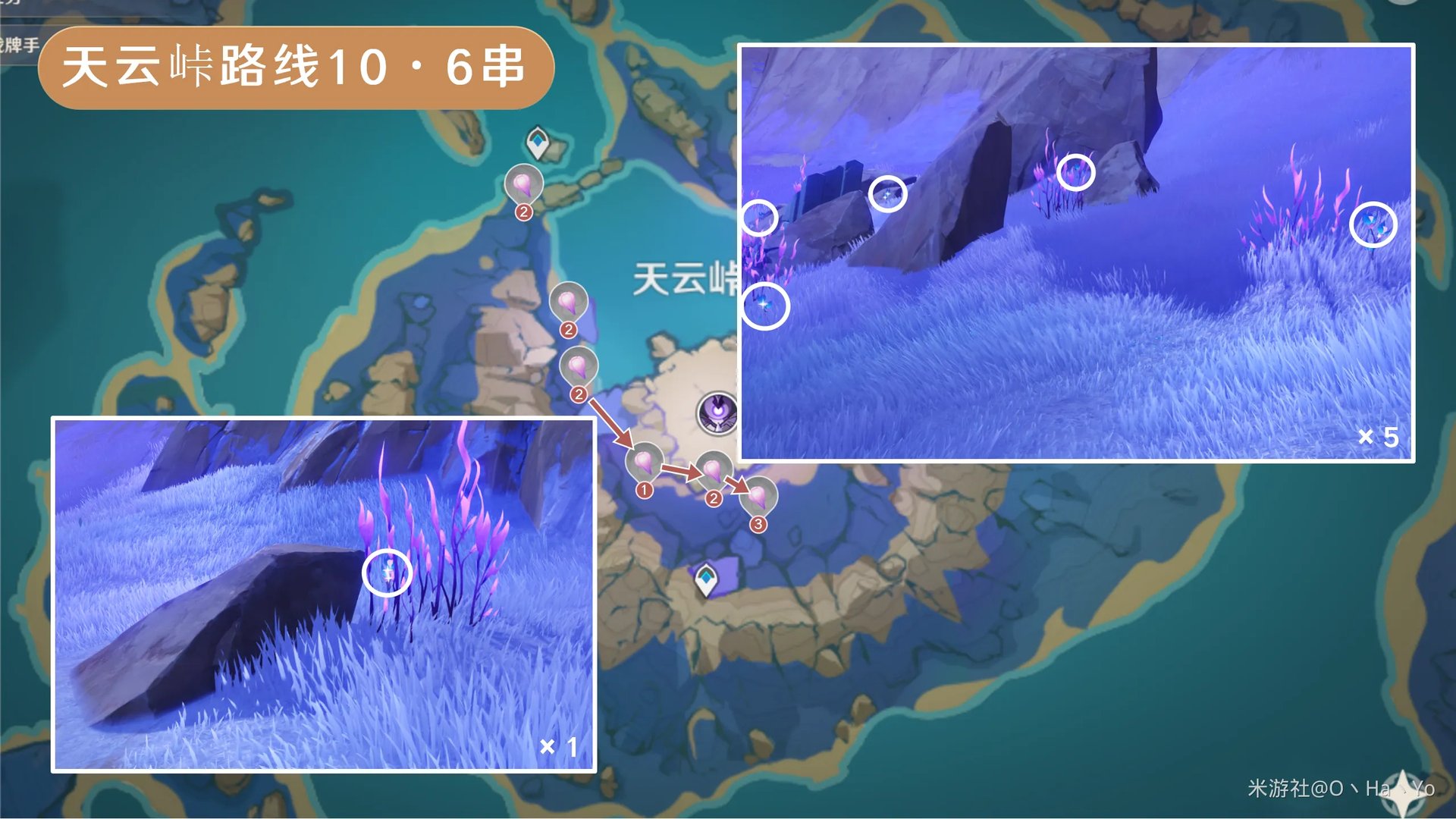 原神天云草实采集路线2024