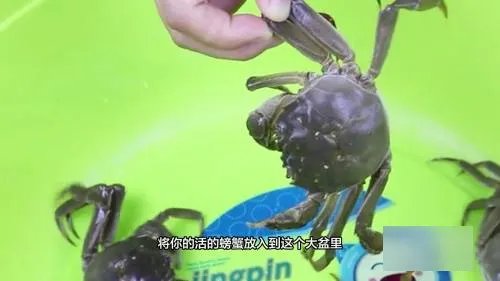 大闸蟹怎样保鲜存活