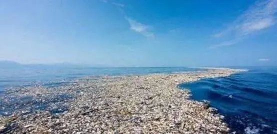 世界“第八大陆”究竟是什么呢？怎么形成的？