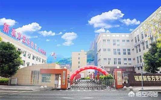 哪里包子培训技术最好？