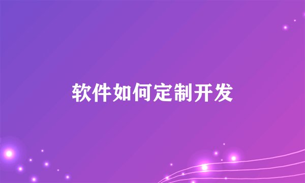 软件如何定制开发