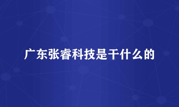 广东张睿科技是干什么的