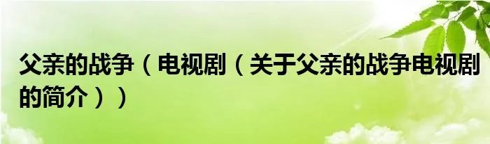 父亲的战争（电视剧（关于父亲的战争电视剧的简介））