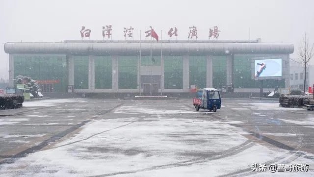 一日游“白洋淀”，看什么景好，推荐一下？