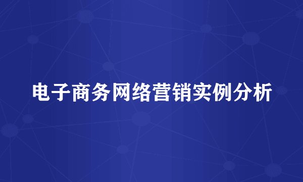 电子商务网络营销实例分析