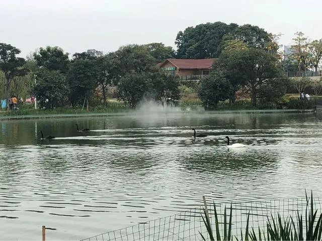 来过漳州或者在漳州定居生活过的人，大家觉得漳州怎么样？