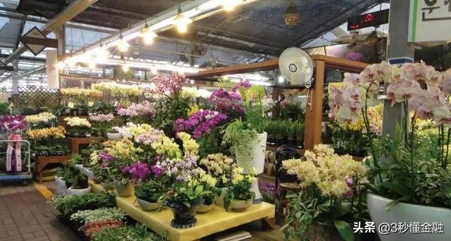 在苏州开一家花店，大概需要多少钱啊，怎么做？