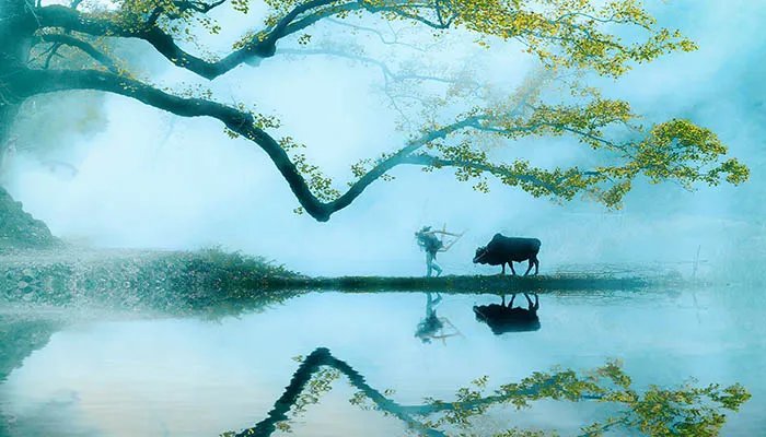 南方清明吃什么传统食物 南方清明吃哪些传统食物