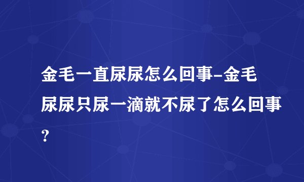 金毛一直尿尿怎么回事-金毛尿尿只尿一滴就不尿了怎么回事？