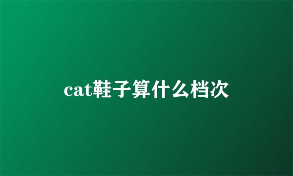 cat鞋子算什么档次