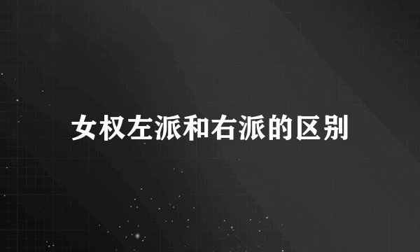 女权左派和右派的区别