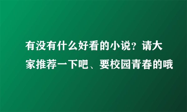 有没有什么好看的小说？请大家推荐一下吧、要校园青春的哦
