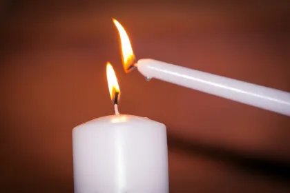 烈士家属的待遇有什么