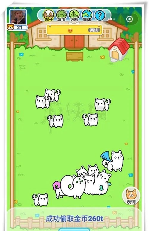 《萌犬变变变》怎么一转 萌犬变变变新手玩法技巧