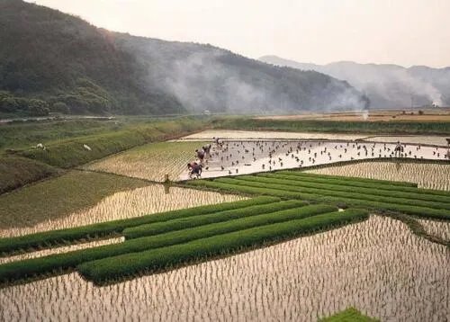 流转土地可以建房吗