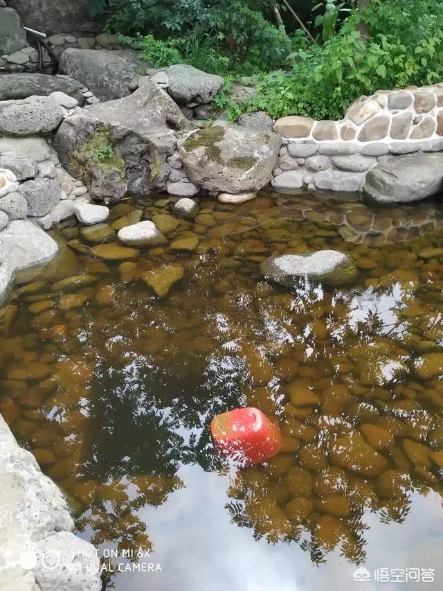 别墅庭院设计要注意哪些？