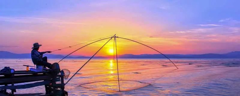 鲢鱼怎么钓 钓鲢鱼的方法