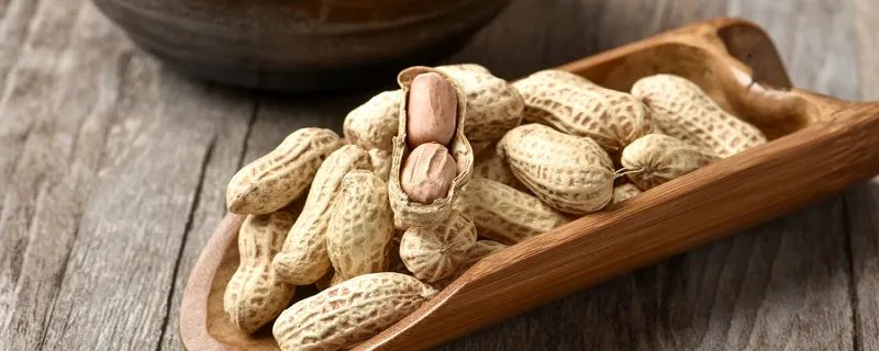 落花生课文解析