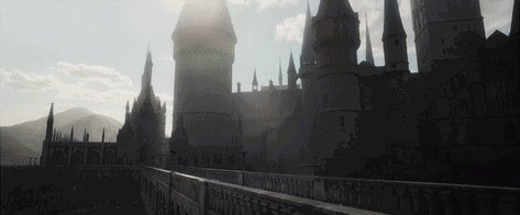 熬了一个通宵 发现了《神奇动物2》预告里的23个秘密