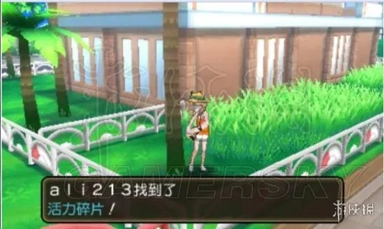 《口袋妖怪究极日月》图文攻略 全任务图文流程攻略