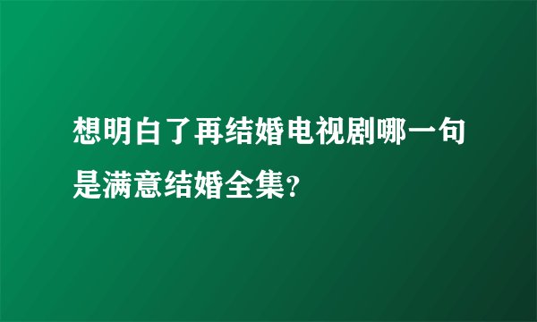 想明白了再结婚电视剧哪一句是满意结婚全集？