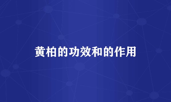 黄柏的功效和的作用