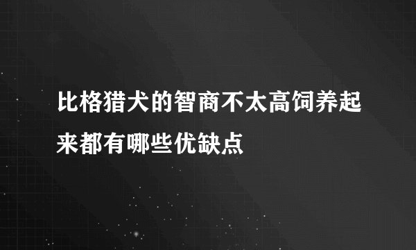 比格猎犬的智商不太高饲养起来都有哪些优缺点