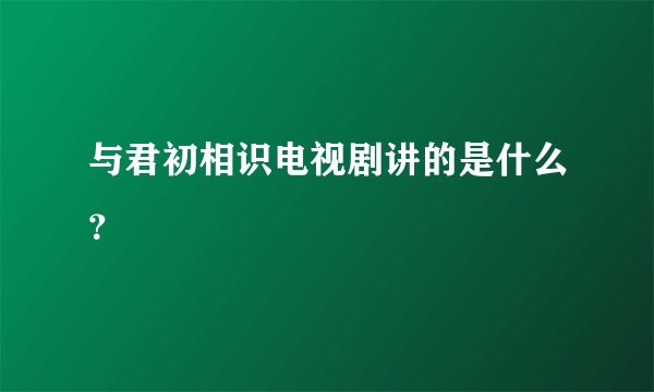 与君初相识电视剧讲的是什么？