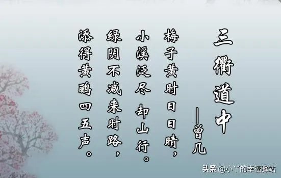 三衢道中的意思？