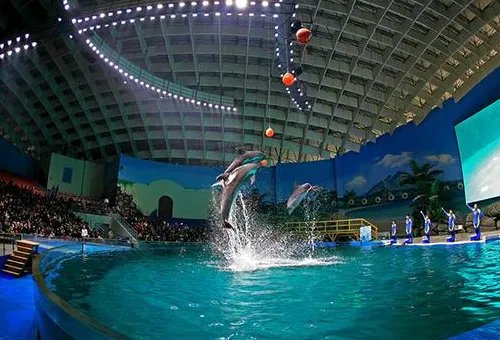武汉海洋馆和海洋公园哪个好玩