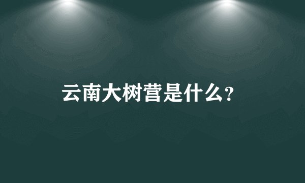 云南大树营是什么？